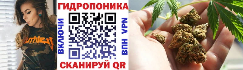 Бошки Шишки AK-47  ОМГ ОМГ как войти  Краснотурьинск 
